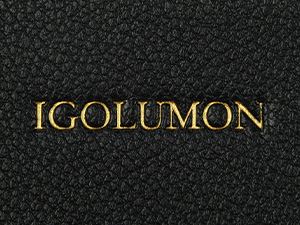 purses for women crossbody