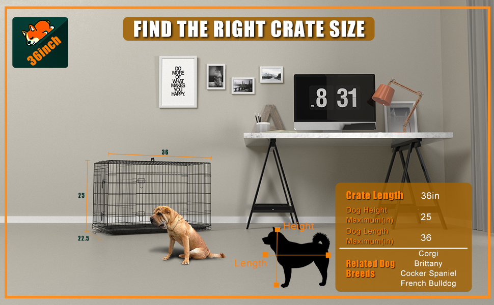 Large Dog Crate 36 inch Dog Crates for Large Medium