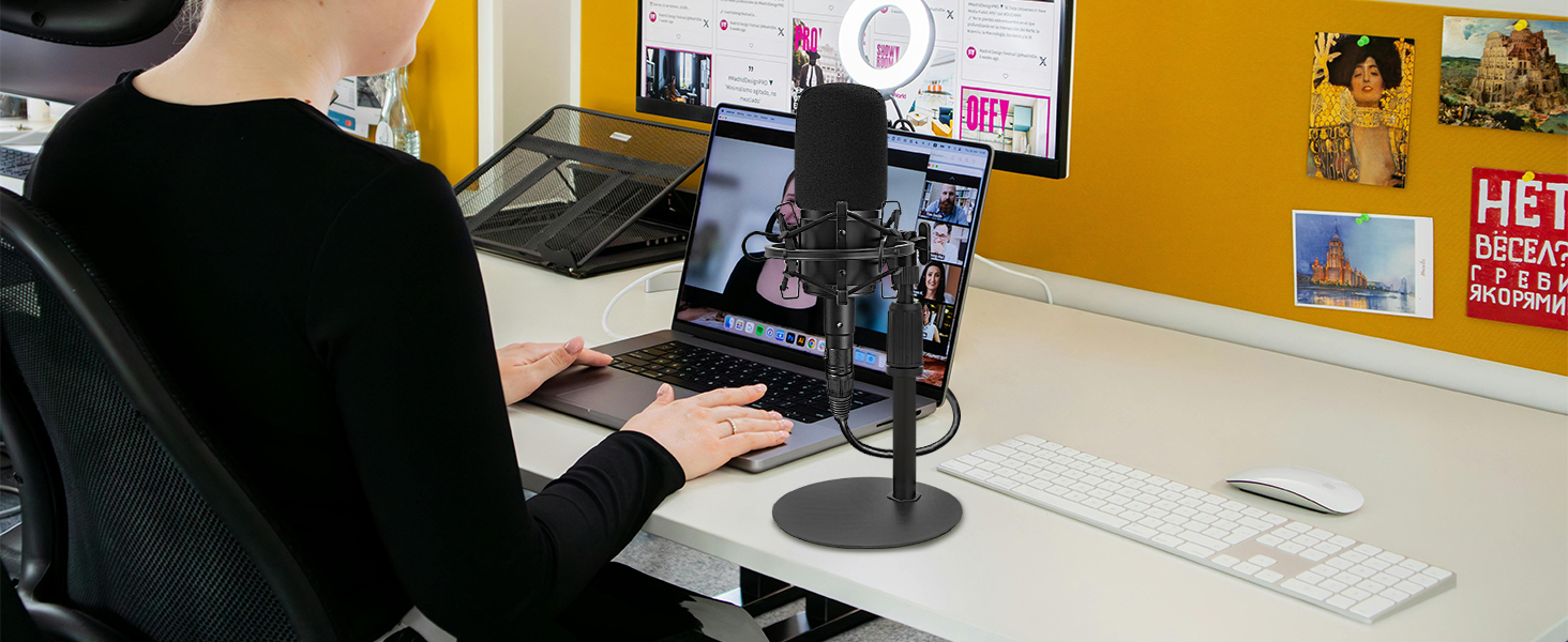 Audio Technica AT2020 Mic Stand