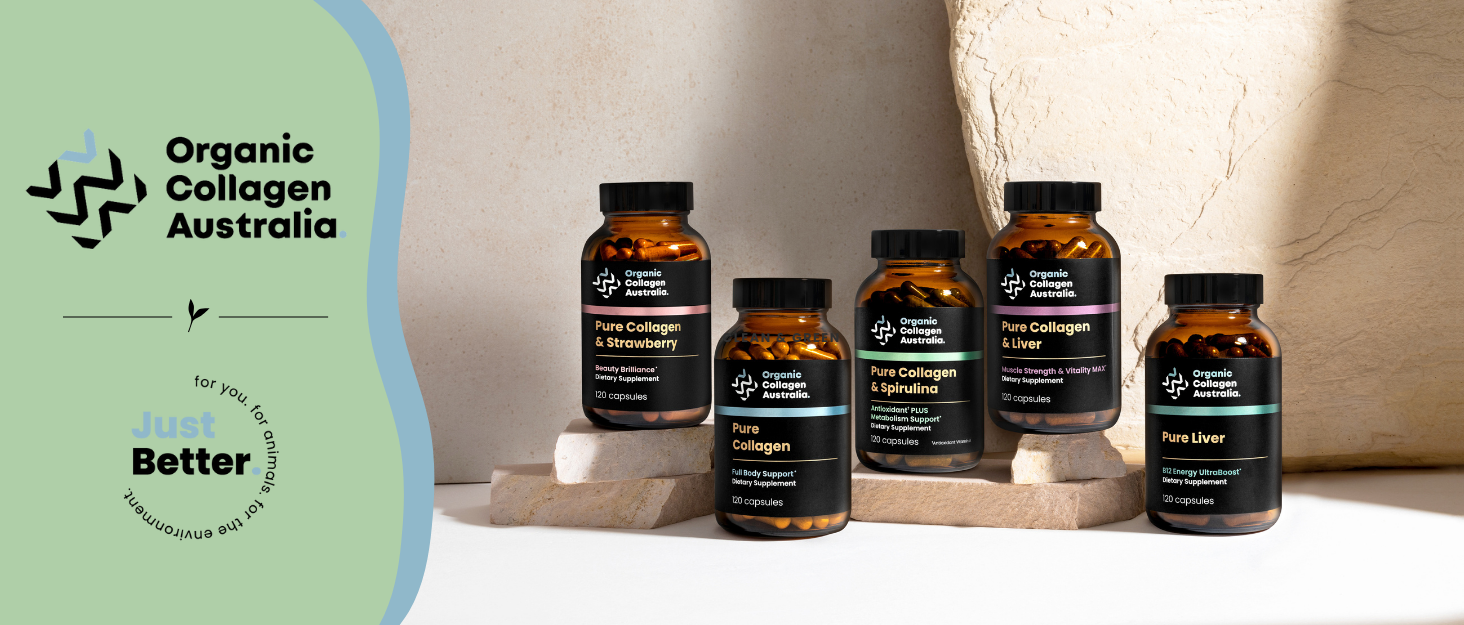 OCA Brand Story Banner v1