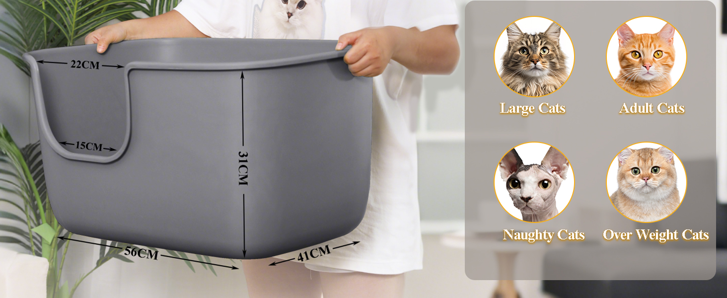 Extra Large Cat Litter Box Multiple Cats
