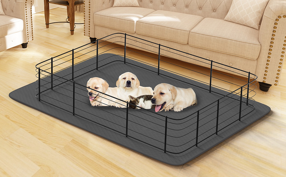 Dog Pee Pad