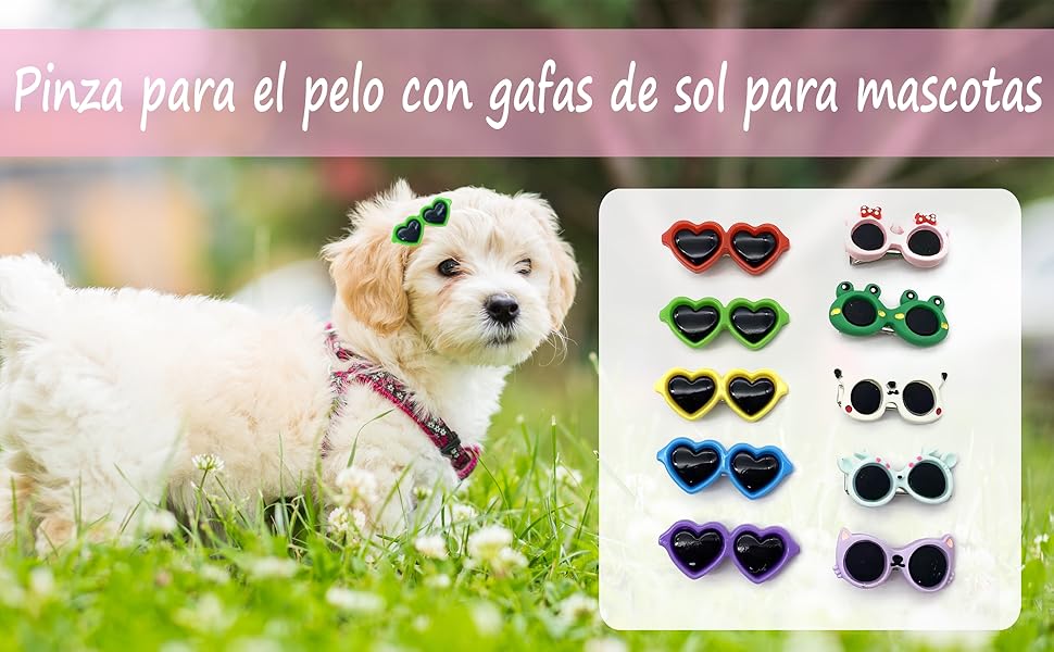 DHER 10 Pieces Pet Hair Clips Pet Clips Small Pet Hair Clips for Dogs Pet Hair Clips Small Clips for Animal Hair Super Cute Dog Headdress (A) 12 Clips de pelo para perros Clips de pelo para mascotas Clips de pelo para perros