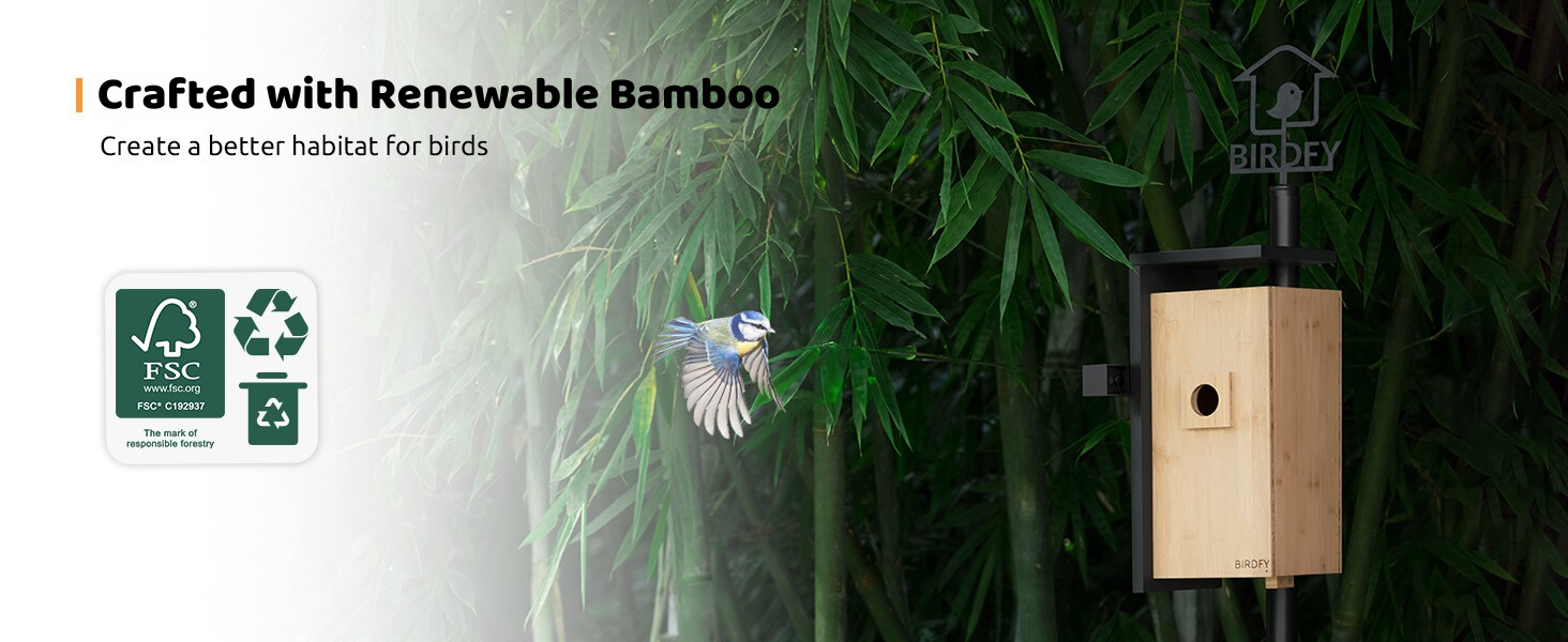 Birdfy Nest Smart Bird House with Dual Cameras, Bird Box Camera, Auto