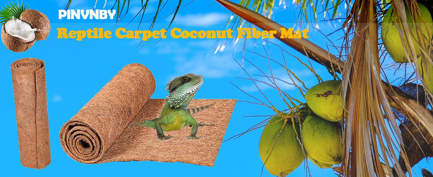Reptile Carpet,Bearded Dragon Tank Accessories,Reptile Mat, Leopard Gecko Substrate,Bearded Dragon