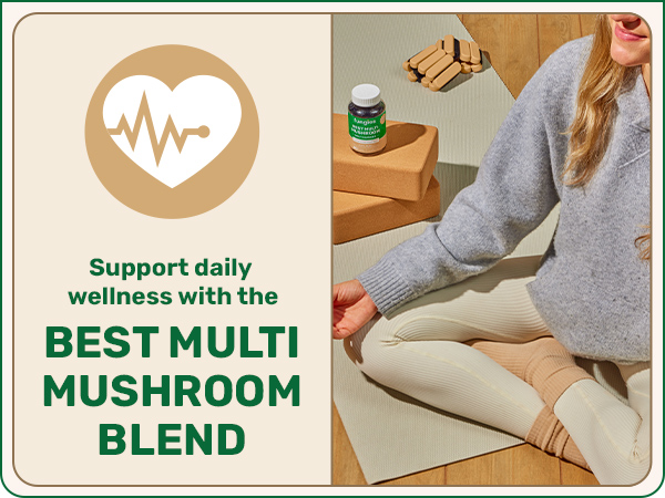 phosphatidylserine amino moringa spores vegan chill shiitake fresh microingredients alternative