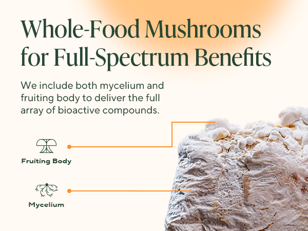 Our whole-food mushrooms deliver full spectrum benefits from mycelium and fruiting body