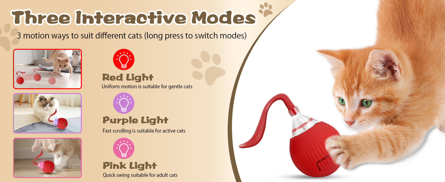 Cat Toys
