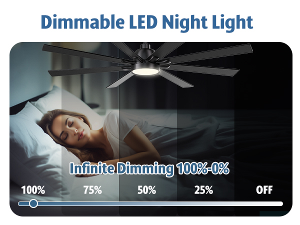 lighting &amp; ceiling fans