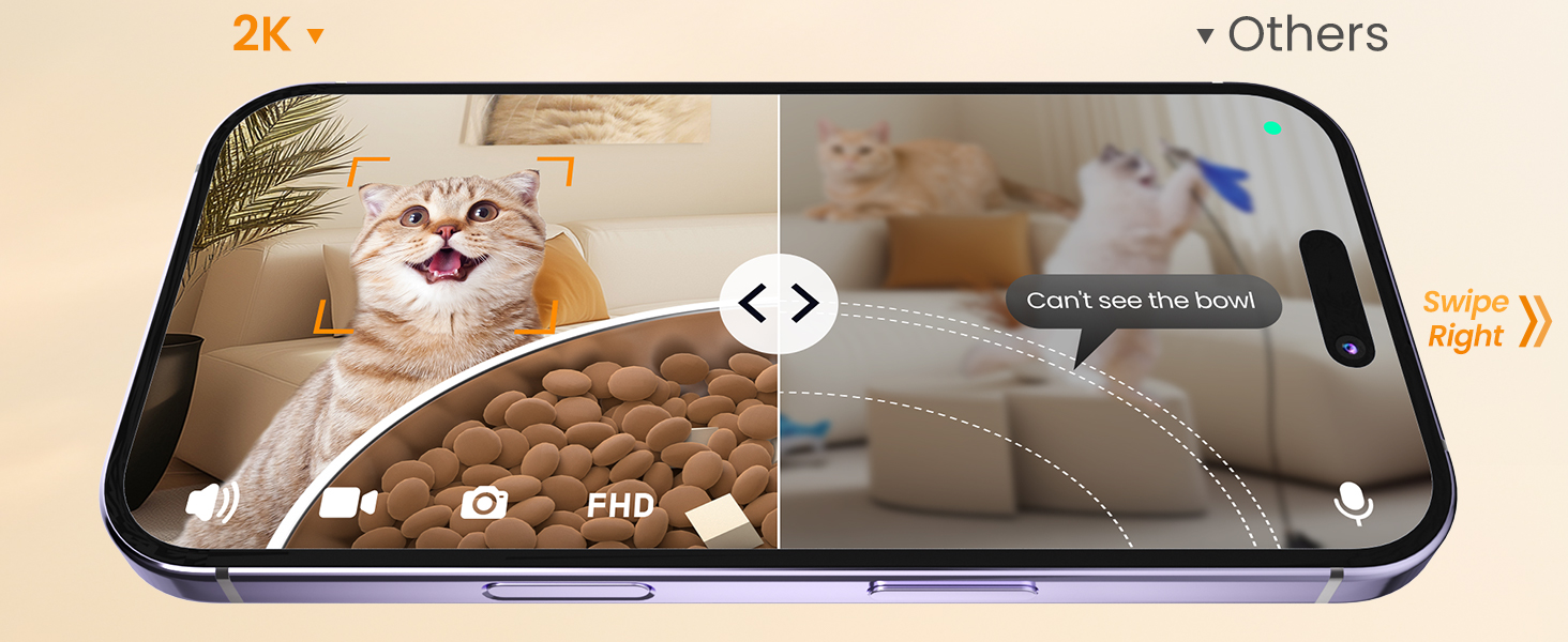 automatic cat feeder