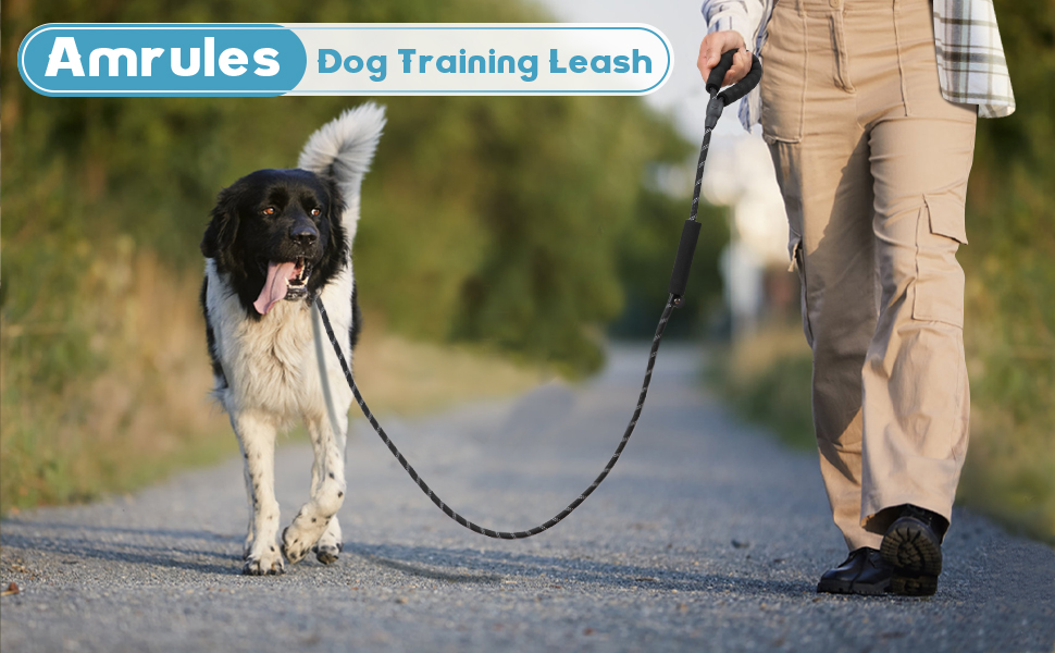 Amrules Dog Training Leash Black 970x600-1