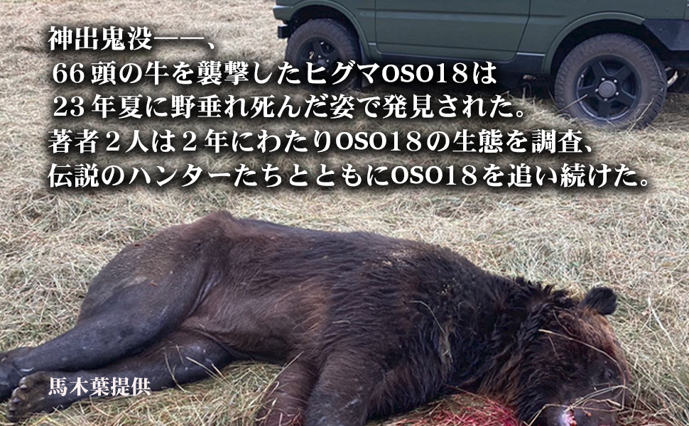 Amazon.co.jp: 異形のヒグマ OSO18を創り出したもの : 山森 英輔