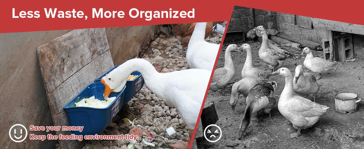 animal feeders for livestock