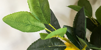 faux lemons; artificial plants indoor;artificial lemons