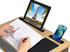 lapdesk with cushion