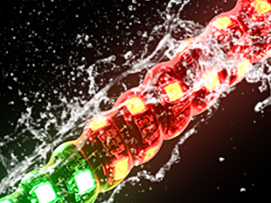 whip lights for side by side 2ft