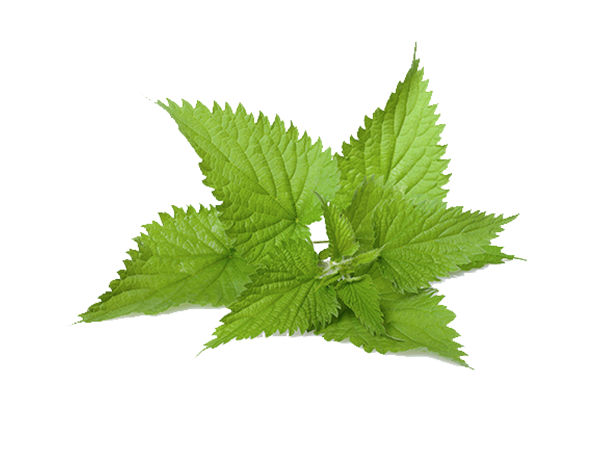 Helps inhibit histamine production, supports natural inflammatory response to irritants