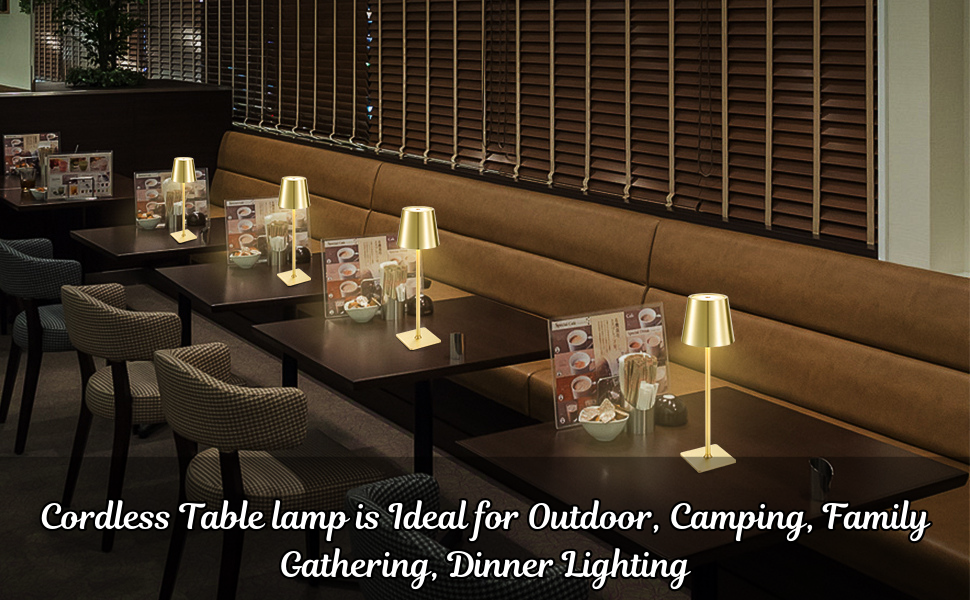 3 Color LED Battery Operated lamp with Touch Control