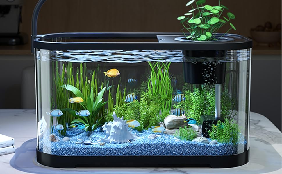【スターターセット】アクアリウム　水槽セット Amazon | 水槽 アクアリウム スターターキット 一体型水槽セット