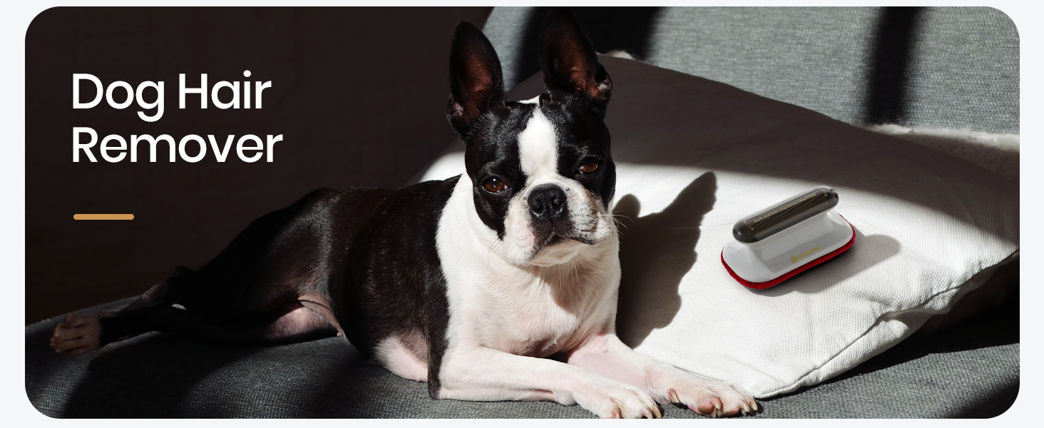 Pet Hair Removal Tool