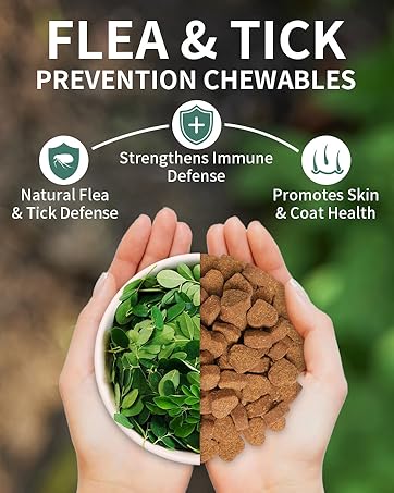chewables for dogs