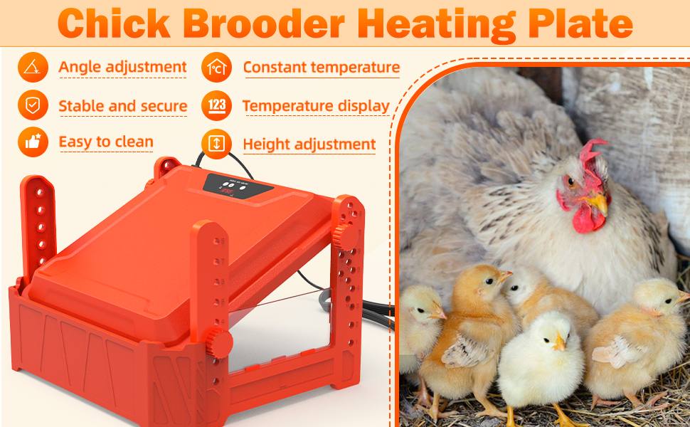 DETODDA Upgrade Chick Brooder Heating Plate, 12" x 12" Brooder Heater for Chicks
