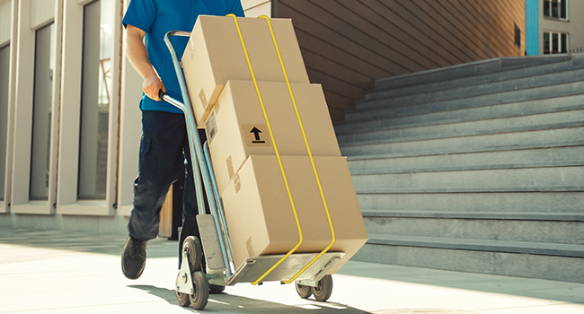 WORKPRO 8-Piece Bungee Cords with Aluminum Carabiner