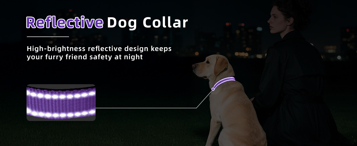 reflective dog collar