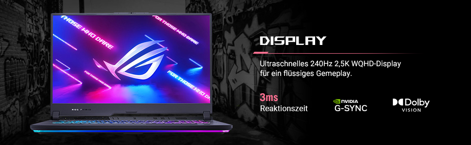 ROG Strix G17 G713PI