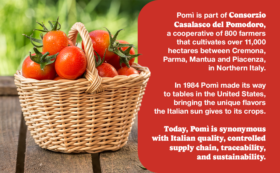 made only with fresh tomatoes and a touch of salt, delivering pure taste with no additives