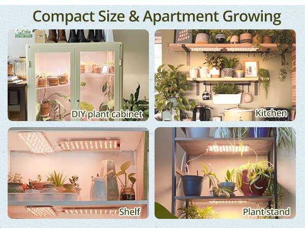 Grow Lights for Indoor Plants