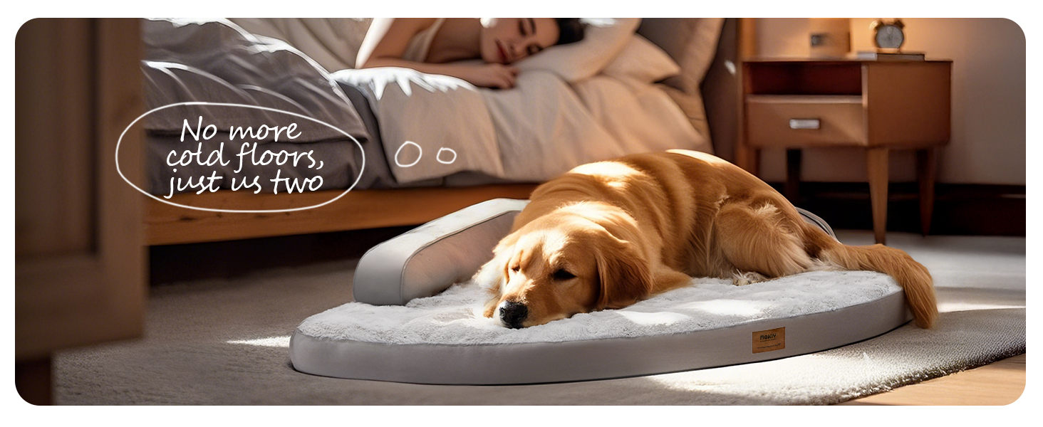 dog beds large