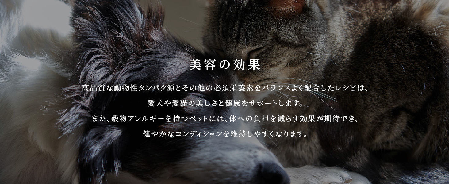 カナガン特徴3