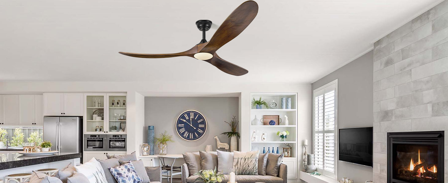 ceiling fan with light
