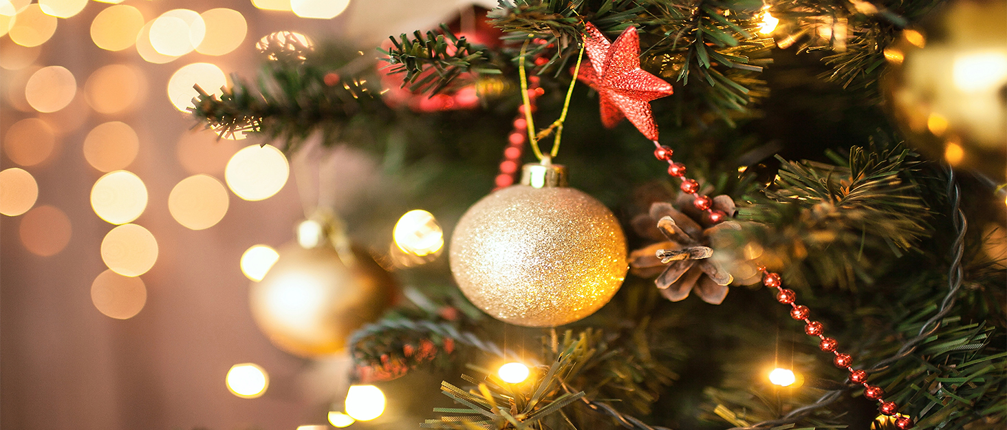 ASVEAS Silver Pink Xmas Balls Shower Curtain Merry