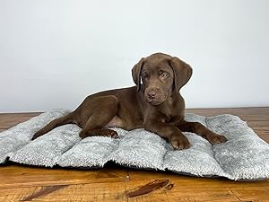 puppy dog bed travel indoor and outdoor