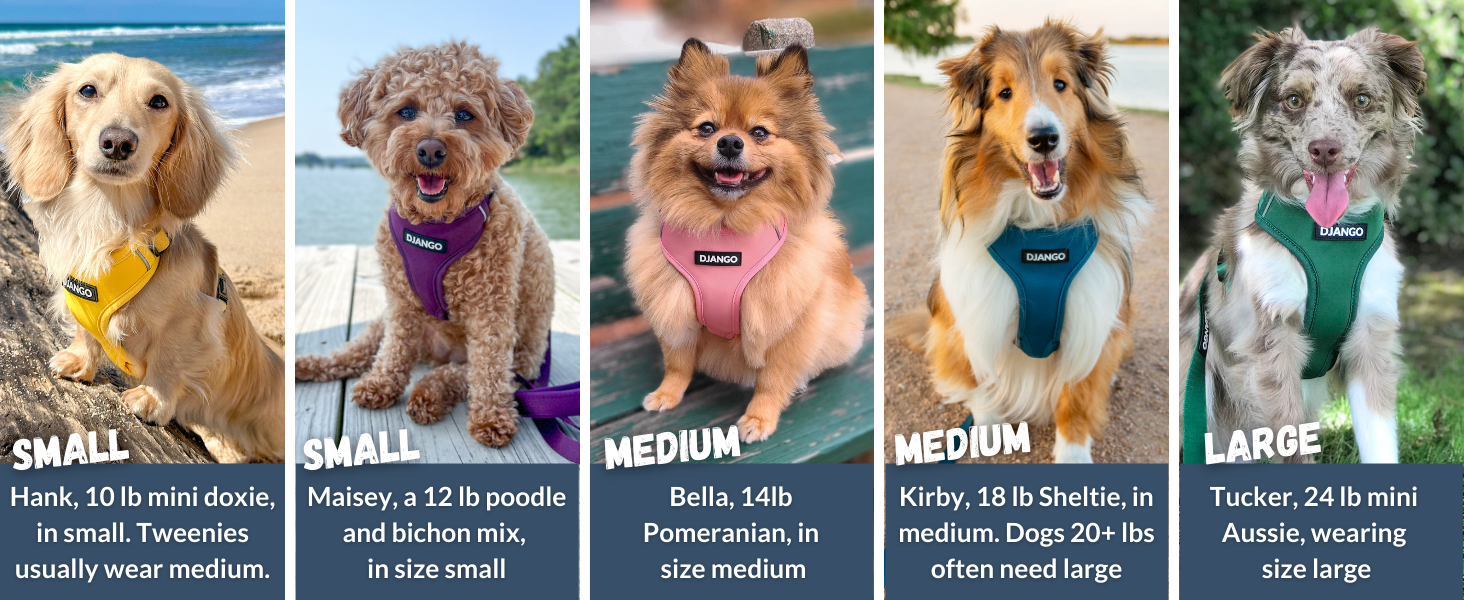 Shop this DJANGO Adventure Dog Harness and see why dogs love their DJANGO harness and DJANGO gear