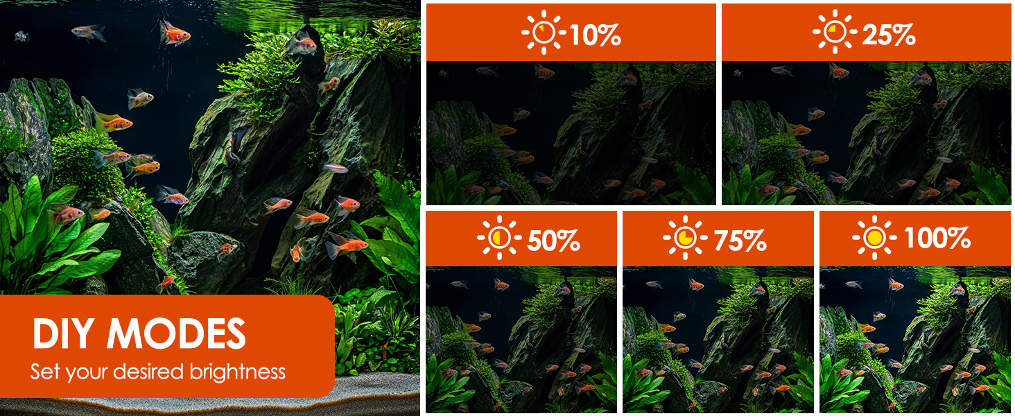 Der Text lautet „DIY-MODI“. Aquarium- oder Terrarienbild mit üppigen grünen Pflanzen. Prozentangaben deuten auf unterschiedliche Beleuchtungs- oder Moduseinstellungen hin.