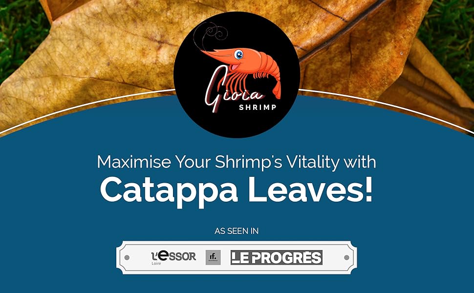 Enhance your shrimp food aquarium experience with our variety of flavourful lollies.
