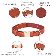 MASIMALO 本革 ワイド首輪 グリーン S Essence ヴィーガンレザー 犬用 首輪 – Brott Barcelona