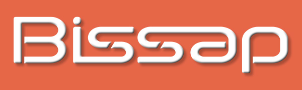 Guinea Pig Carrier Bag