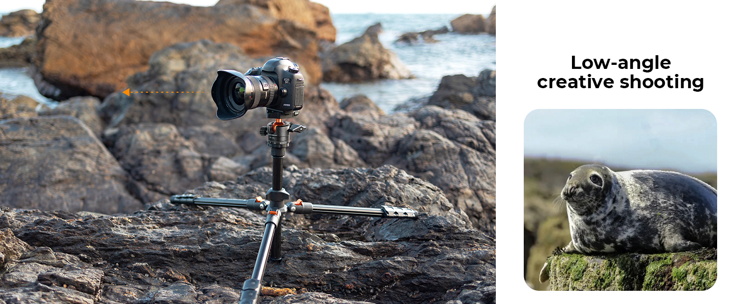 tripod camera