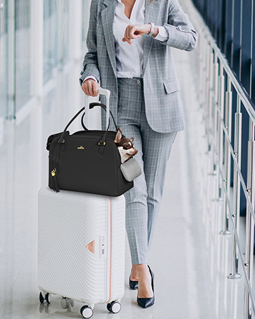 Wakytu Dog Carriers for Small Dogs