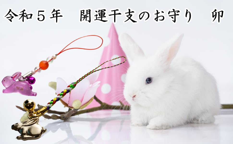 開運招福祥雲毛布です❗こちらは卯(うさぎ)になります❗ フロイド 招き兎 フォーチュンラビット セット Floyd Fortune