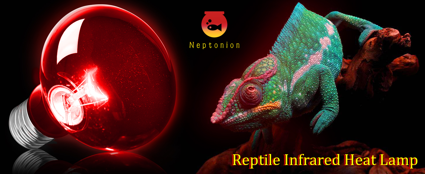 Reptile Infrared Heat Lamp