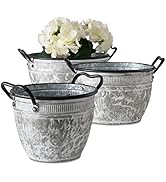 Farmers Market Zinc Planters, Set of 3, Galvanized Metal, Round Chubby Containers, Black Rolled C...