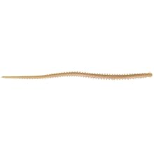 Amazon.co.jp: Berkley (バークレー) ガルプ! イソメ 細身 4
