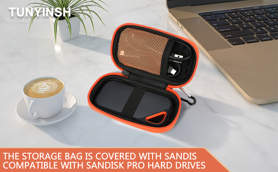 Sandisk Case