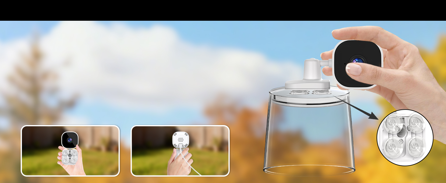 bird buddy smart bird feeder with camera、bird feeder window、bird camera、wild bird feeders