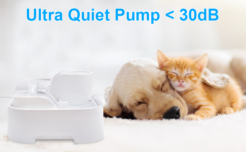 cat water fountains for drinking